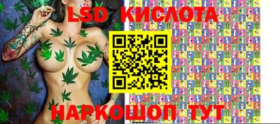 гидра Моздок