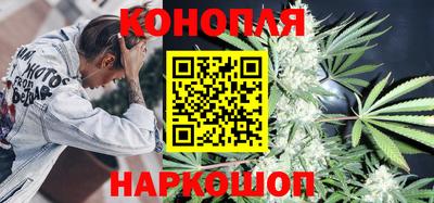гидра Моздок