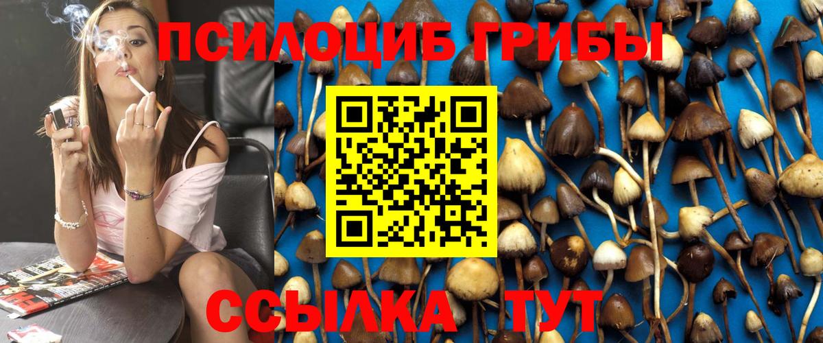 Тара  Галлюциногенные грибы Psilocybe  Галлюциногенные грибы MAGIC MUSHROOMS  Вход с VPN 
