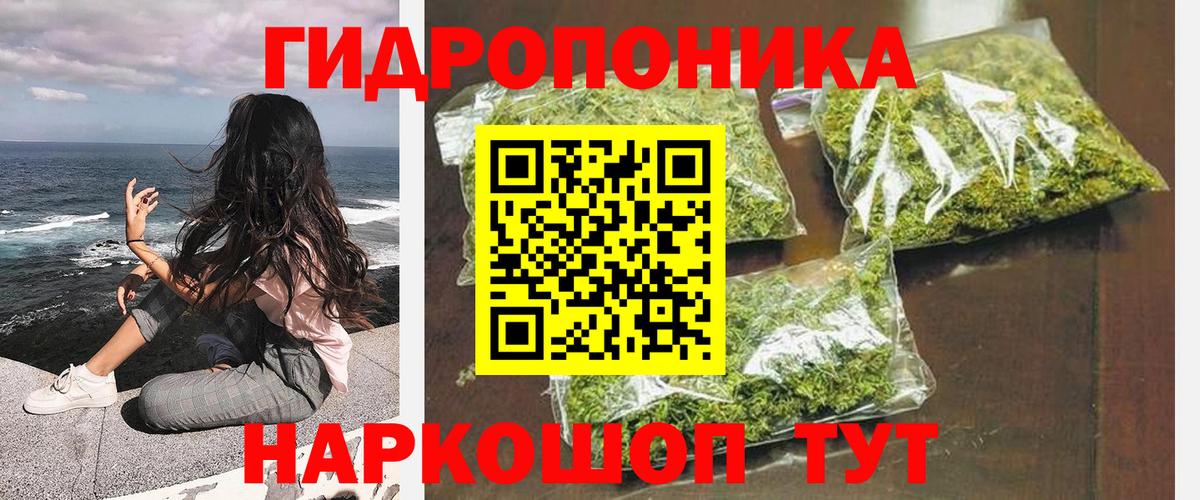 Бошки марихуана OG Kush Тара
